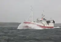 Trawler na sprzedaż