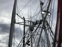 Trawler na sprzedaż