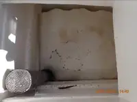 Żalotnik na sprzedaż