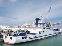 General Cargo/Multi-purpose na sprzedaż