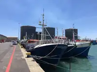 Longliner na sprzedaż