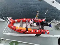 Statek Ro-Ro na sprzedaż