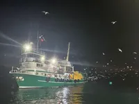 Żalotnik na sprzedaż