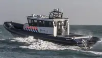 Sztywna ponton na sprzedaż
