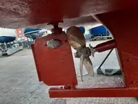 Kuter na sprzedaż