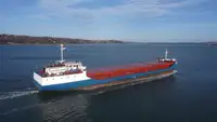 Statek transportowy ładunków sypkich na sprzedaż