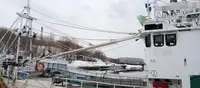 Trawler na sprzedaż