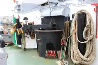 Holownik na sprzedaż
