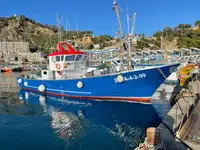 Trawler na sprzedaż
