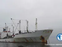 Statek chłodniczy na sprzedaż