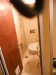 Holownik na sprzedaż