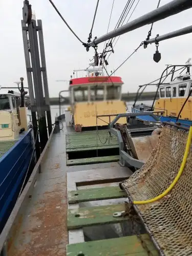 Trawler na sprzedaż