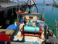 Trawler na sprzedaż