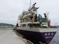 General Cargo/Multi-purpose na sprzedaż