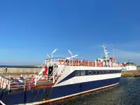 Statek pasażerski na sprzedaż