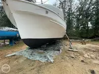 Trawler na sprzedaż