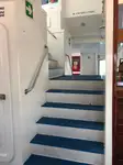 Katamaran na sprzedaż