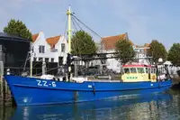 Trawler na sprzedaż