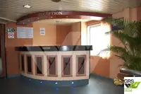 Ro-Ro ship na sprzedaż