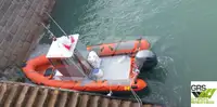 Sztywna ponton na sprzedaż