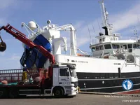 Trawler na sprzedaż