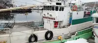 Trawler na sprzedaż