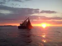 Trawler na sprzedaż