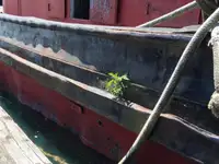 Holownik na sprzedaż