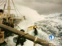Trawler na sprzedaż