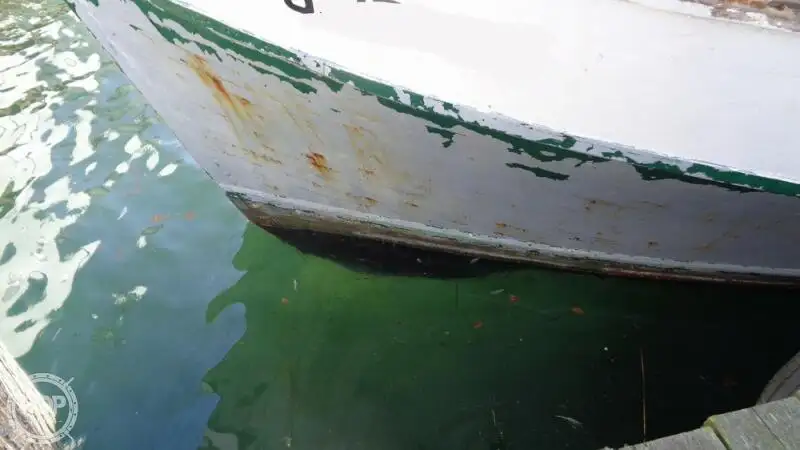 Trawler na sprzedaż