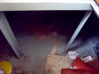 Holownik na sprzedaż