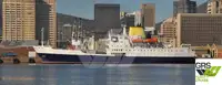 Statek transportowy ładunków sypkich na sprzedaż