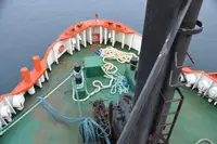 Holownik na sprzedaż