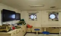 Statek transportowy ładunków sypkich na sprzedaż