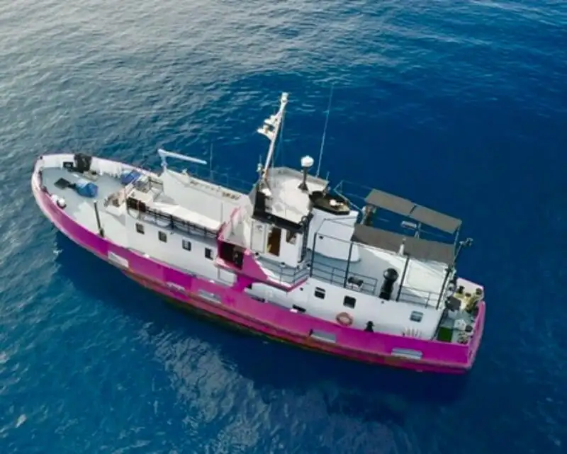 General Cargo/Multi-purpose na sprzedaż