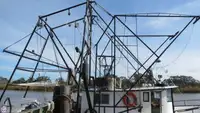 Trawler na sprzedaż