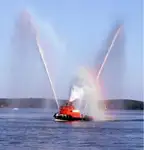 Holownik na sprzedaż