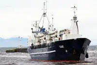 Statek transportowy ładunków sypkich na sprzedaż