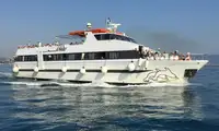 Statek pasażerski na sprzedaż