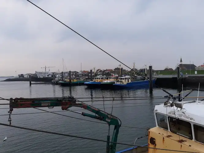 Trawler na sprzedaż