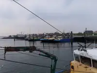 Trawler na sprzedaż