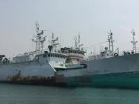 Longliner na sprzedaż