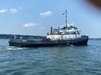 Holownik na sprzedaż