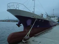 General Cargo/Multi-purpose na sprzedaż