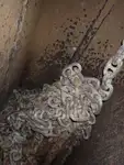 Statek transportowy ładunków sypkich na sprzedaż