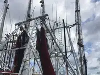 Trawler na sprzedaż