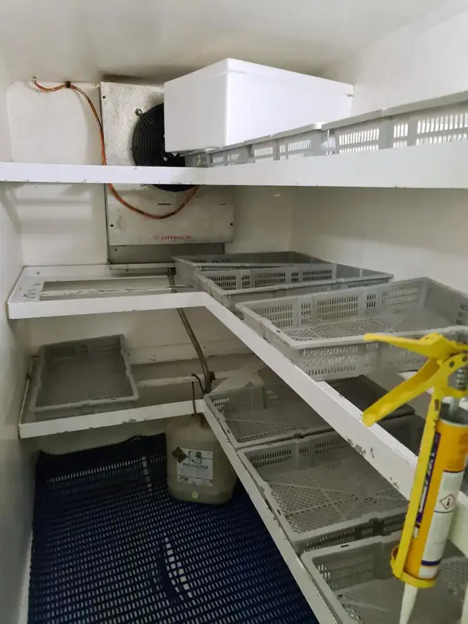 Longliner na sprzedaż