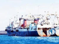Trawler na sprzedaż