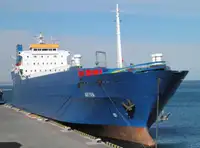 Holownik na sprzedaż