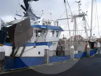 Trawler denny na sprzedaż